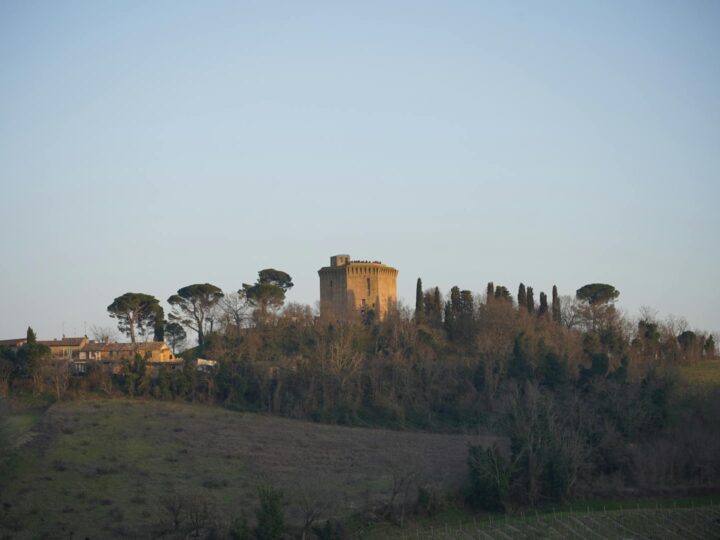 Torre do Castelo de Gediminas